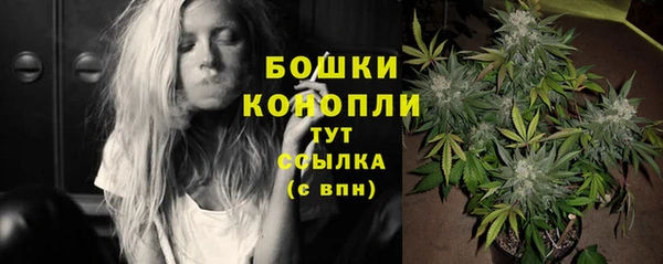 круглые Бронницы