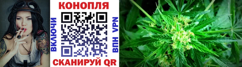 Бошки Шишки MAZAR  как найти закладки  Брянск 